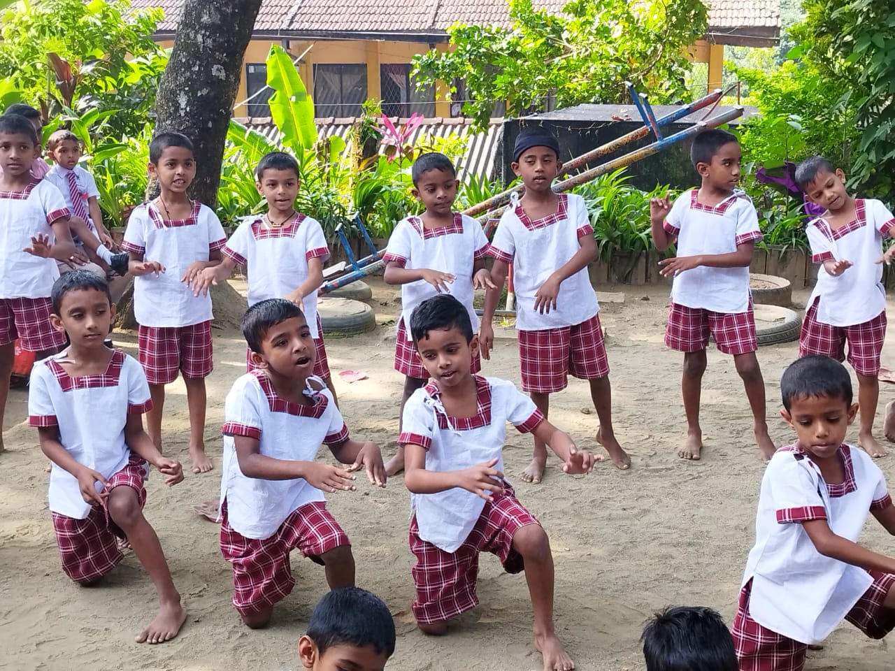 ප්‍රාථමික අංශය